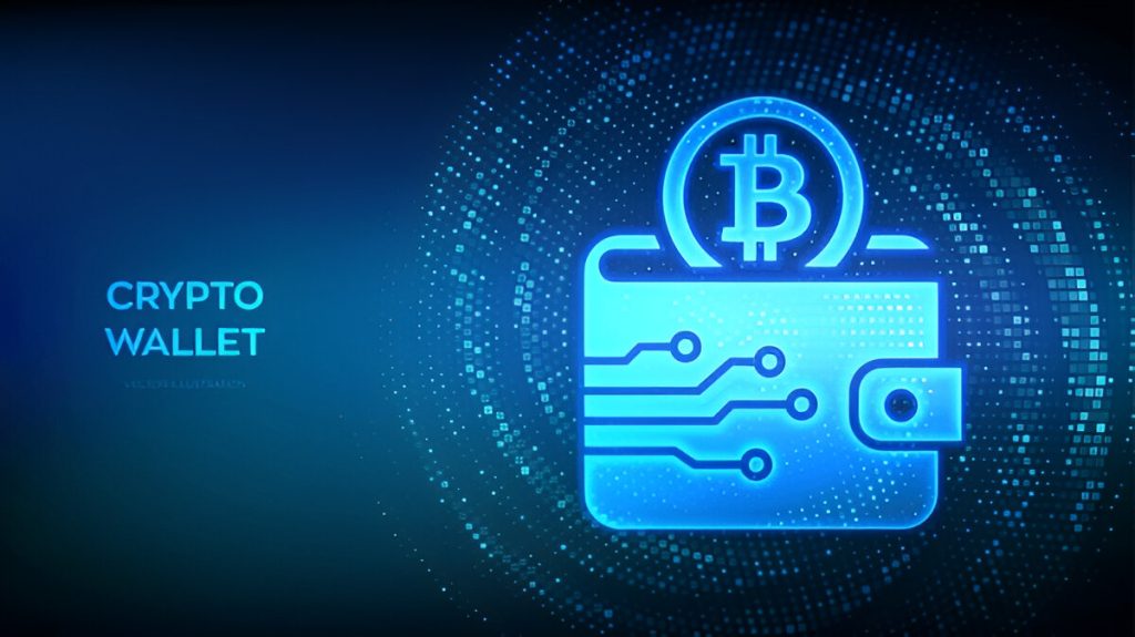 Hardware vs. Software Wallets: Which One Is Safer for Your Investments?