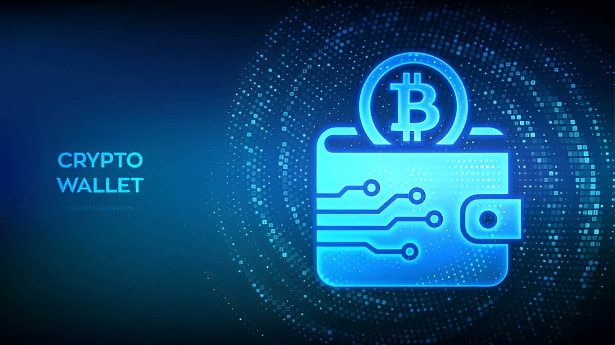 Hardware vs. Software Wallets: Which One Is Safer for Your Investments?