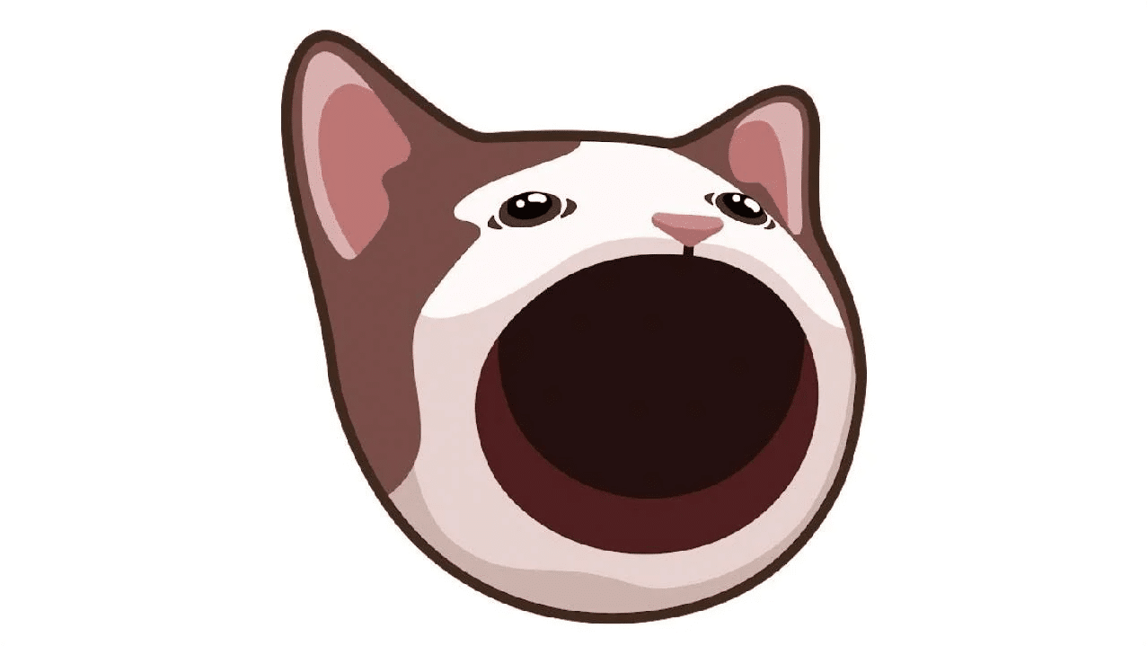 Popcat (POPCAT) - Emerging Meme Coins to Watch