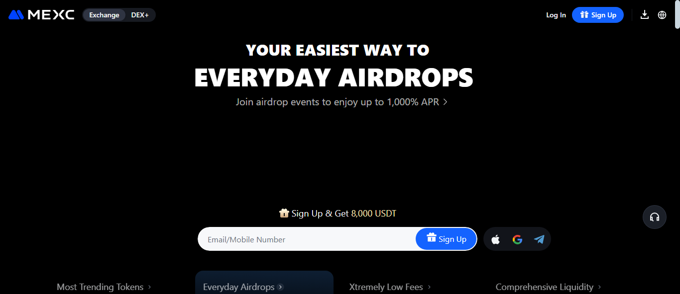 How to Research a Token Before a Presale