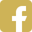 x icon