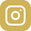 x icon