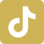 x icon