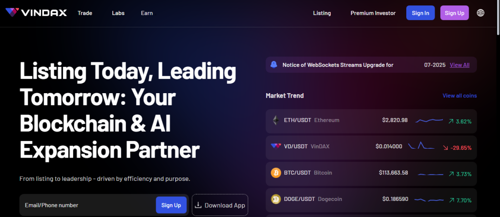 How to Research a Token Before a Presale
